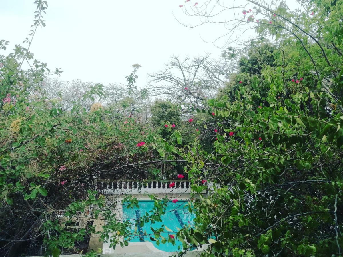 Jardin Etnobotanico Villa Ludovica Santa Marta  Extérieur photo